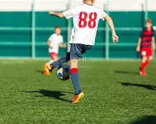 独家揭秘,双色球,期必中秘籍,浙江体彩,浙江体彩网,浙江体彩网官网,体育彩票,体彩大乐透,竞彩足球,体彩公益