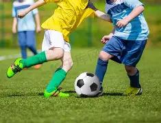 独家揭秘,卡西双色球,期红蓝球攻,浙江体彩,浙江体彩网,浙江体彩网官网,体育彩票,体彩大乐透,竞彩足球,体彩公益