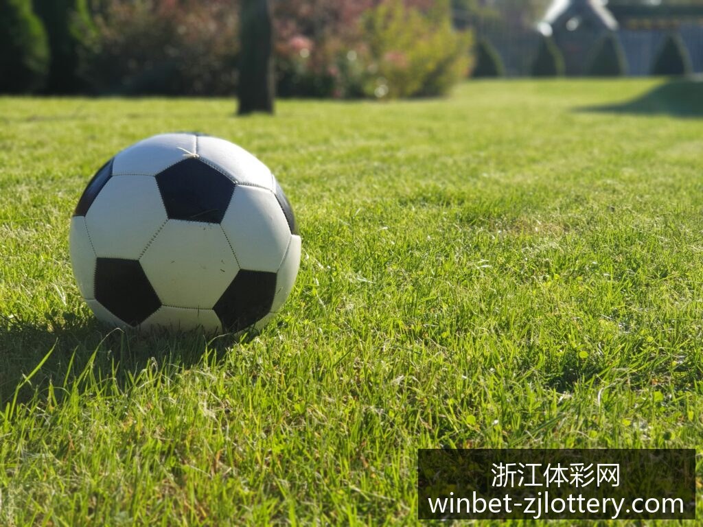 世界杯官方,合作伙伴名,单揭晓,浙江体彩网官网,浙江体彩购买,省钱购彩,实时投注,中奖信息,浙江体彩APP,购彩技巧,正规投注平台