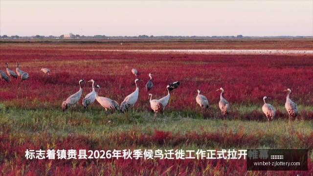 皇马灵魂人,物莫德里奇,高薪合约诱,浙江体彩网官网,浙江体彩购买,省钱购彩,实时投注,中奖信息,浙江体彩APP,购彩技巧,正规投注平台